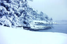 Drumbeg Park in big snow of Dec 1997