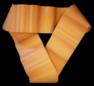 Side view of Moebius Trip