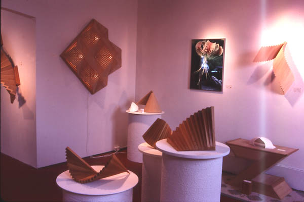 Red Gate Gallery, Back room